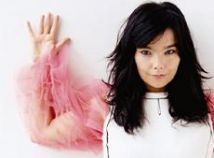 Björk se irrita e agride fotógrafo