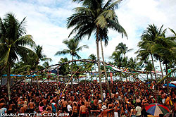 Festival Trance