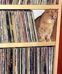 discografias