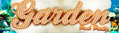 GARDEN POOL PARTY 2011 GARDEN POOL PARTY 2011 - Campinas